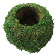 6 Inch Moss Ball Planter for Home Decoration, Natural Kokedama Bonsai Holder, DIY Gardening Decor