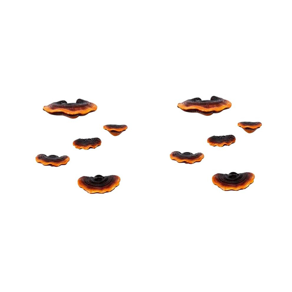 Set Of 10 Mushroom Shelf Wall Decor Small Wall Shelf For Bedroom Resin Mushroom Decor Floating Shelves Corner Wall Decor Wella Elements