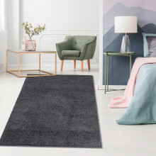 Haperlare Area Rug Dark Grey 2x3 ft Soft Plush Shaggy