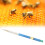 Plastic Bee Grafting Tool Model 125 for Precise Queen Rearing and Easy Larval Transfer 2