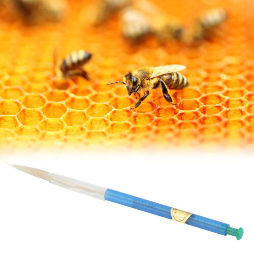 Plastic Bee Grafting Tool Model 125 for Precise Queen Rearing and Easy Larval Transfer 1