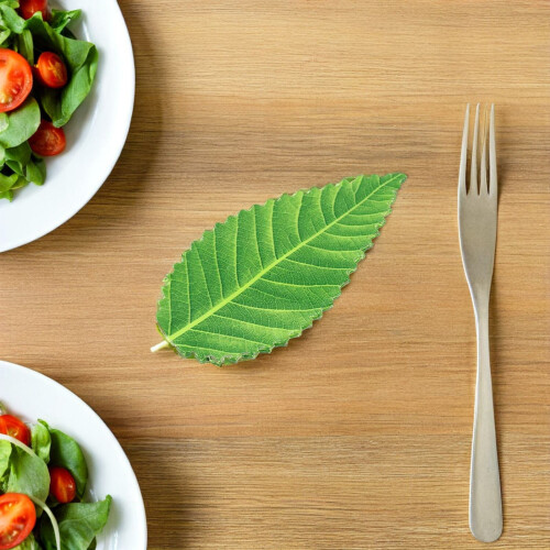 1000Pcs Green Sushi Decorative Leaves for Sashimi 2