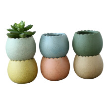 6 Pcs Mini Ceramic Succulent Pots with Modern Eggshell Design, Small Plant Pots for Desk Decor