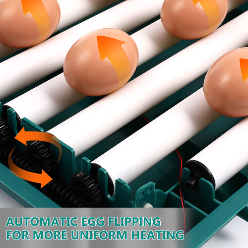 Fully Automatic Chicken Egg Incubator Home Use Compact Multi-Color 2