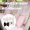 Lovely Decorative Cushion with Bowknot Designs for-white brown 3