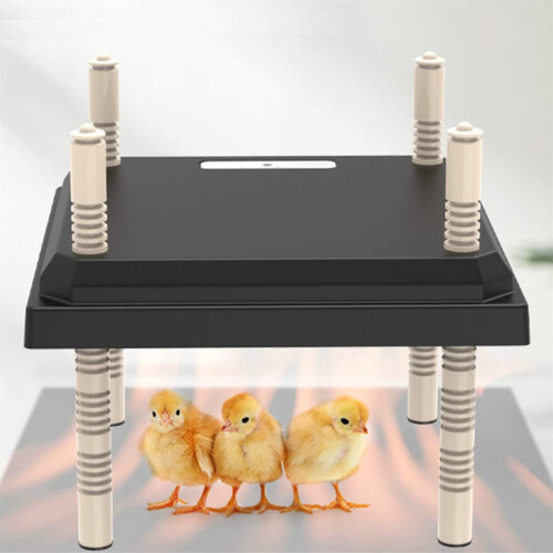 Chick Brooder Heater Plate 15W Black, Adjustable Height Electric Chicken Coop Heater, Energy Saving
