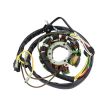 Nuovo Generatore Magnete un 4 Tempi per SPORTSMAN 500 400 Bobina Statore 3084974 3086860