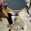 2X Nylon Container Bag, Drum Stick Holder Drumstick Bag for Drum Set Clamp  Stick Holder Bag Container 4