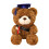 Graduation Bear Stuffed Toy with Cap 12 inches 1