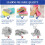 Colorful Sponges 17x7 Four-Pack 9