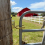 Instant Locking Gate Latch Heavy-Duty One-Hand Gate Latch for Farm, Ranch &amp; Backyard Automatic Spring Lock 5