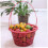 10pcs Plastic Fruit Basket Large Capacity Easy to Clean Storage for Strawberries Blueberries Cherries 4