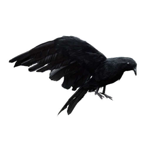 Realistic Black Feathered Crow Ornament 12 inch 1