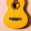 Professional Acoustic Guitar Bridge Kit for Instrument Repair 5