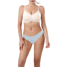 Women'S Ice Silk Underwear, Cotton Crotch, Low Rise, Skin-Friendly, Solid Color, Large Size Briefs Light L