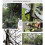 Red Telescopic Pole Saw 5.4m Extendable Tree Pruner Saw with Lightweight Aluminum Handle and Replaceable Blade 4