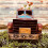 Γλάστρα Rustic Truck Farmhouse Blue Συνθετική Ρητίνη 4