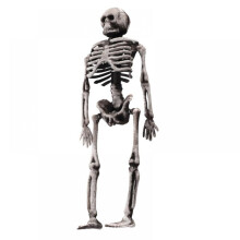 Mini skeletlegetøj med bevægelige dele - 15x9cm