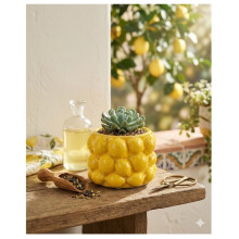 Pot de fleurs - EDEN - Design citron - Céramique durable - Jaune éclatant - 10 x 10 x 8 cm