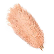 Ostrich Feathers Champagne 30-35cm 10pcs