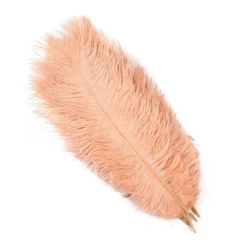 Ostrich Feathers Champagne 30-35cm 10pcs