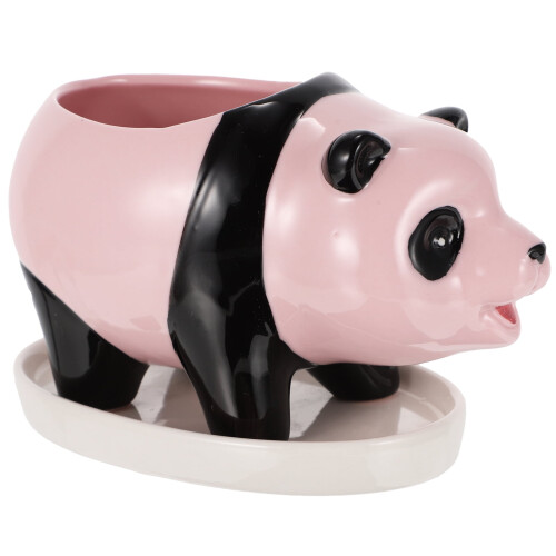 Ceramic planter pot for bonsai and desktop use