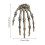 Hand Skeleton Desktop Ornament Pair for Halloween 4