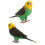 Papegøyefigur for tidlig læring – 1 stk. 4