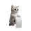 Distributeur mural de rouleaux de mouchoirs en forme de chats-C 1
