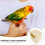 12Pcs Khaki Hanging Bird Nesting Box Plastic Hut for Small Pet Birds 7