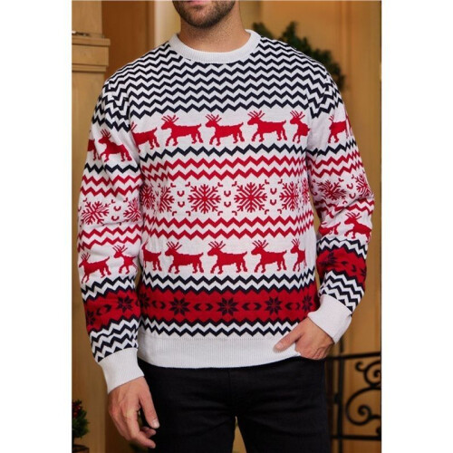 Couples' Casual Christmas Sweater Raglan Sleeve Crew Neck Knitted Pullover Comfy Warm Fall Tops White (Men) M