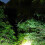 LED Headlight Emergency Rechargeable -Mounted Flashlight Field Work Super Bright Headlight,No Induction 6