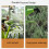 Handheld Pressure Sprayed For Gardening 850ml Durable-Green 2