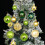 Christmas Dark Green and Gold Decorations 44 pcs 5