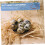 Chick Brooder Heater with Quick Heat Response, Compact Small Chicken Incubator Heating Accessory 5