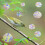 Window Clings Antis-Collision Window Decal to Save-Butterfly 7