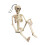 Menneskeskeletfigur ABS stående siddeplads 39x9,5 cm 1