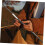 2Pcs Tent Pole Replacement Kit, Durable Fiberglass Construction, Lightweight for Camping 5