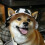 Pet Sun Protective Hat Adjustable Tie Wide Brimmed Design- S 5