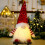 Christmas Gnome Plush Ornament with LED Lights 2