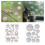 Window Clings Antis-Collision Window Decal to Save-Butterfly 3