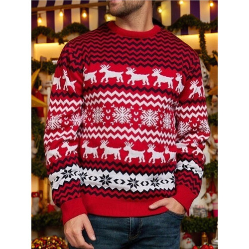 Couples' Casual Christmas Sweater Raglan Sleeve Crew Neck Knitted Pullover Comfy Warm Fall Tops Red (Men) M 2
