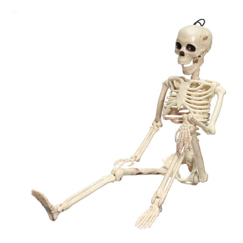Menneskeskeletfigur ABS stående siddeplads 39x9,5 cm 2