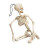 Menneskeskeletfigur ABS stående siddeplads 39x9,5 cm 5
