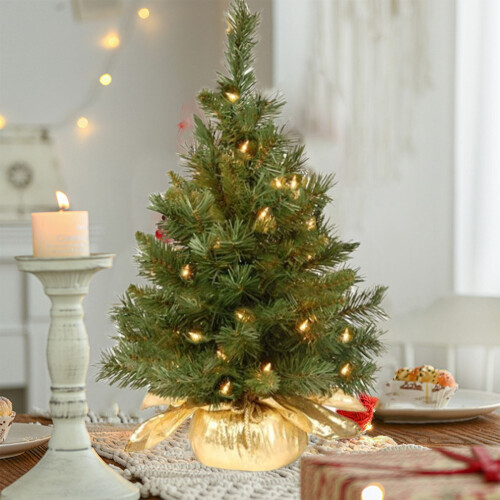 Pre-Lit Mini Christmas Tree 2 Ft Indoor Artificial Tree 2