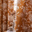 Polyester Floor Curtain Dustproof-150 200 per piece Warm brown 6