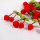 100Pcs Cherrys Leaf Pompoms Balls Polyester for Hairpin Brooch 4