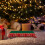 Gröna julpapperstallrikar – 16-pack 5