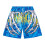 Men Board Shorts 3D Print Elastic Waist Quick Dry-L KR 1