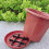 5pcs Plant Pot Height-increasing Pad - Plastic Flowerpot Feet for Drainage and Ventilation 3